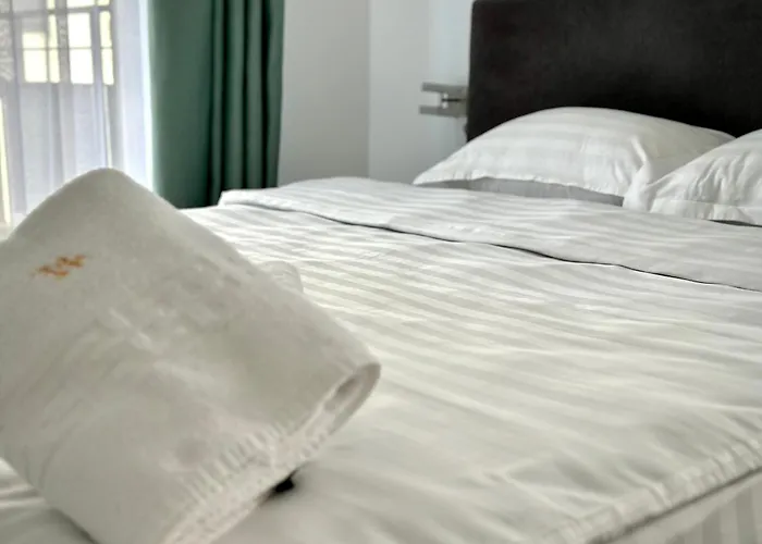 Apartment 4friendscoresibrasov C Brasov