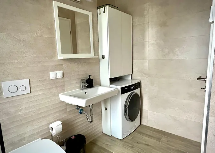 Apartment 4friendscoresibrasov C Brasov